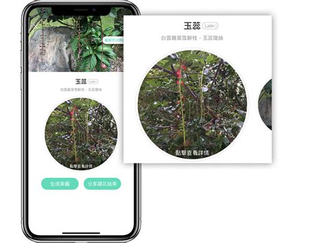 這是什麼花app|形色